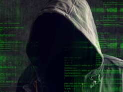 Сенатор США обвинила «русских хакеров» в кибератаке на свой избирательный штаб