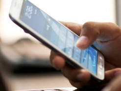 Официальные государственные каналы для получения информации