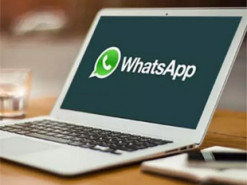 В WhatsApp для компьютеров можно будет быстро отвечать на сообщения одной кнопкой