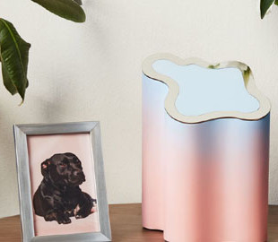 Українці створили урну для праху домашніх тварин і зібрали на її виробництво першого ж дня на Kickstarter $5000