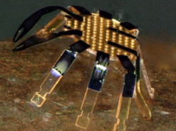 Представлен самый маленький робот с дистанционным управлением