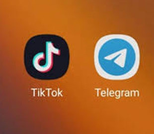 "Росія тисне через них": Зеленський висловився про TikTok і Telegram