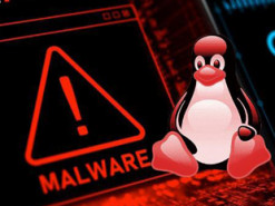 Специалисты обнаружили новый неуловимый Linux-вредонос