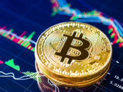 Потерявший свои монеты Шифф назвал биткоин-инвесторов дураками