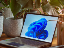 Windows 11 виявилася повільнішою за XP — тест швидкодії