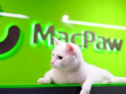 Українська IT-компанія оголосила про скорочення п’ятої частини персоналу