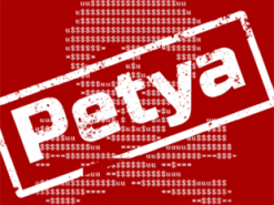 За вирус Petya, принесший украинцам миллионные убытки, наказали слесаря из Никополя