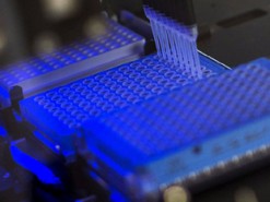 Ученые предложили создать единую базу ДНК для поимки преступников