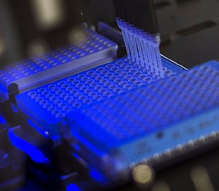 Ученые предложили создать единую базу ДНК для поимки преступников