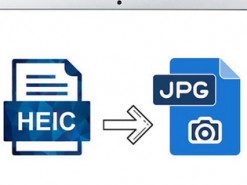Американские школьники не сдали тестирование из-за формата фотографий iPhone