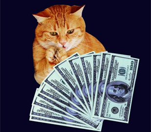 У США фірма випадково перерахувала жінці понад $1 мільйон