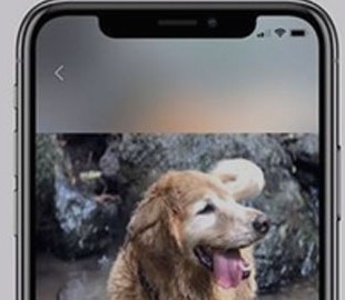 Как превратить обычные фотографии в красивые 3D-снимки