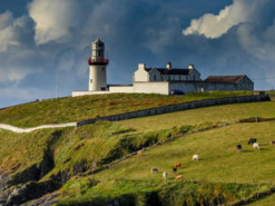 ЦОД Ирландии стали потреблять больше электроэнергии, чем все домохозяйства в сельской местности страны