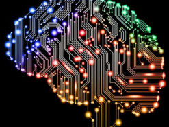 Новый алгоритм помог радиологам найти аневризму в головном мозге