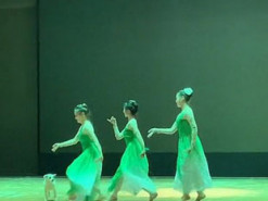 Бродячая собака присоединилась к танцовщицам на сцене – видео рассмешило сеть