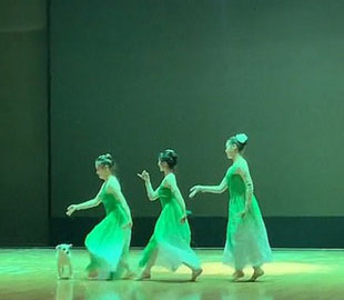 Бродячая собака присоединилась к танцовщицам на сцене – видео рассмешило сеть