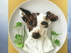 Бельгийка прославилась на весь мир картинами из еды