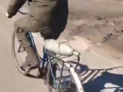 Смелые украинцы украли трофей - в сети появилось забавное видео