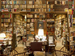 В Украине запустили библиотечный онлайн-сервис