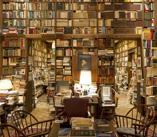 В Украине запустили библиотечный онлайн-сервис