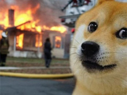 Google створив генератор мемів: що з ним не так