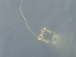 В Україні представлений дрон-"водолаз" CHASING M2: як його використовували