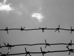 Заключенного полтавской колонии осудили за интернет-мошенничество