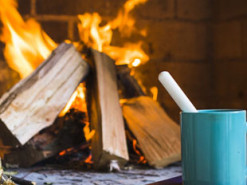 Опалювальний сезон: як отримати безкоштовні дрова від держави