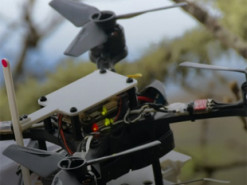 Новый дрон-сокол может садиться на ветки и хватать предметы