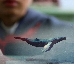 Молодая запорожанка собиралась прыгнуть с плотины, выполняя задание «Синего кита»