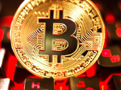 Канадская сеть ресторанов перевела все фиатные резервы в биткоин