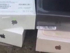 Прикордонники виявили в КПВВ «Майорське» телефони iPhone, смарт-годинники Apple на понад 155 тисяч гривень