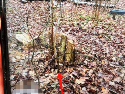 У Вінниці «на гарячому» затримали двох продавців амфетаміну