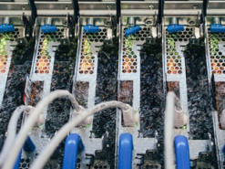 Microsoft использует кипящую жидкость для охлаждения серверов в ЦОД