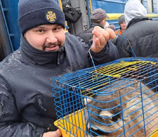 Українські рятувальники про всяк випадок евакуювали з Донбасу єнота