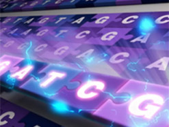 Исследователи впервые опубликовали полную последовательность генома человека