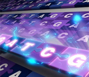 Исследователи впервые опубликовали полную последовательность генома человека