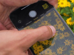 Це приховане налаштування камери iPhone є у всіх, але більшість просто не знає про неї