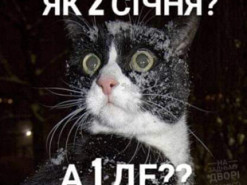 Куда делось 1 января? Новый год в Украине высмеяли меткими фотожабами