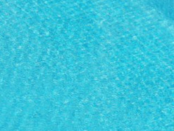 Утка с утятами устроила заплыв в бассейне во Львове: милое фото