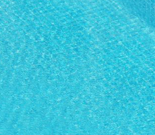 Утка с утятами устроила заплыв в бассейне во Львове: милое фото