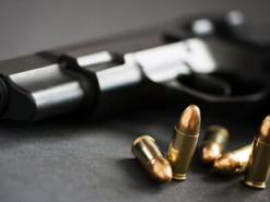 В "Дії" появился опрос относительно владения оружием в Украине