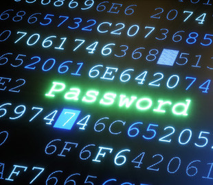 Полиция Ирландии сможет требовать пароли для электронных устройств во время обыска