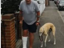 Курьез: пес притворился хромым, чтобы поддержать хозяина