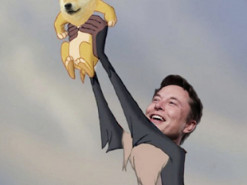 Илон Маск сообщил о старте продаж мерча от Tesla за Dogecoin