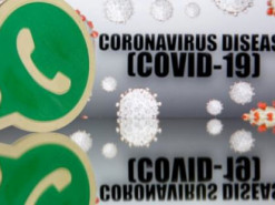 WhatsApp создаст специальный чат-бот для информирования о COVID-19