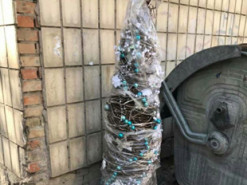 Праздник затянулся: в сети показали забавное "новогоднее" фото из Киева