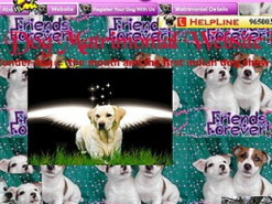 Дизайнеры создали самый «неправильный» сайт в мире (Фото)