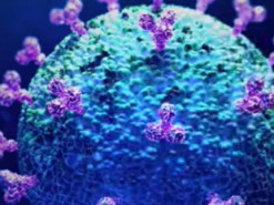 Google и Apple встроят диагностику COVID-19 в смартфоны