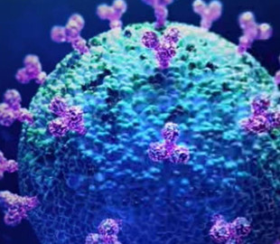 Google и Apple встроят диагностику COVID-19 в смартфоны